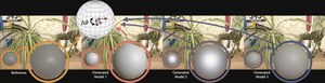 Shedding Light thumbnail